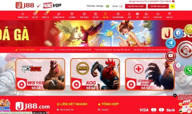 Đa dạng các sảnh đá gà hợp tác với nhà cái J88